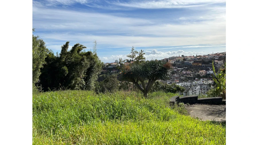 Terreno para Venda em Funchal (Santa Luzia) Foto 22