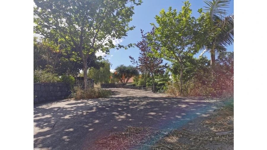 Terreno para Venda em Funchal (Santa Luzia) Foto 15