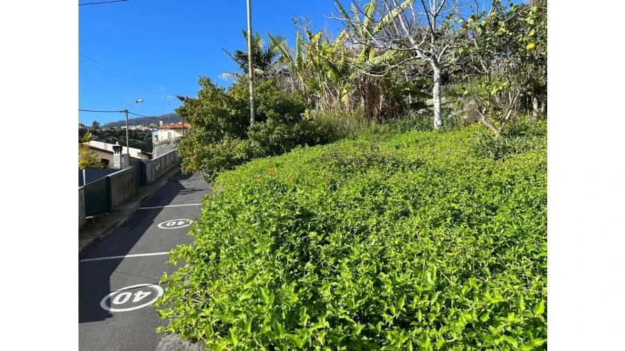 Terreno para Venda em Funchal (Santa Luzia) Foto 20