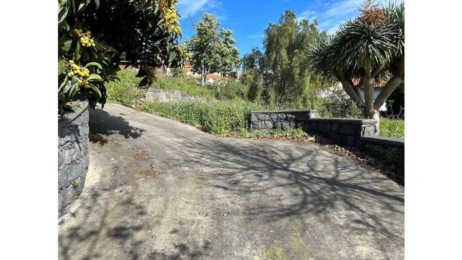 Terreno para Venda em Funchal (Santa Luzia) Foto 7