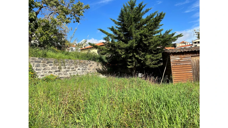 Terreno para Venda em Funchal (Santa Luzia) Foto 11