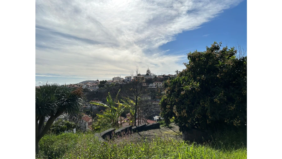 Terreno para Venda em Funchal (Santa Luzia) Foto 6