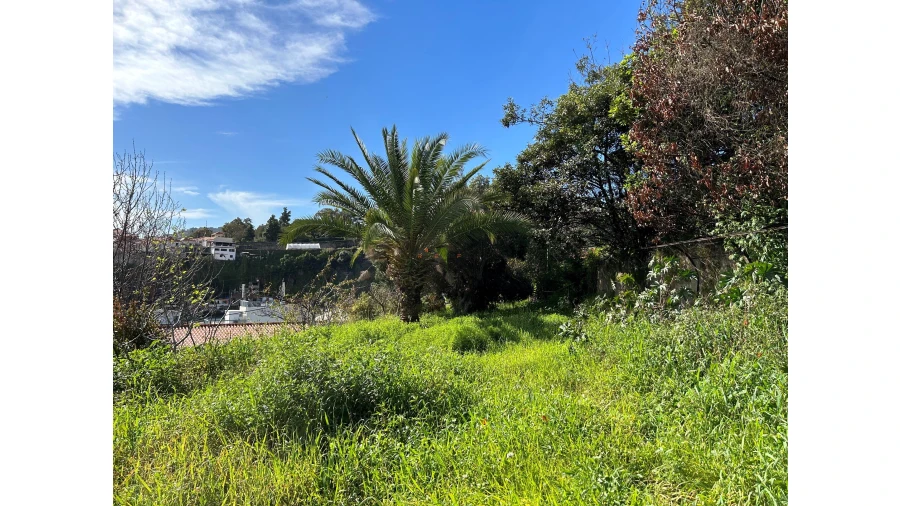 Terreno para Venda em Funchal (Santa Luzia) Foto 9