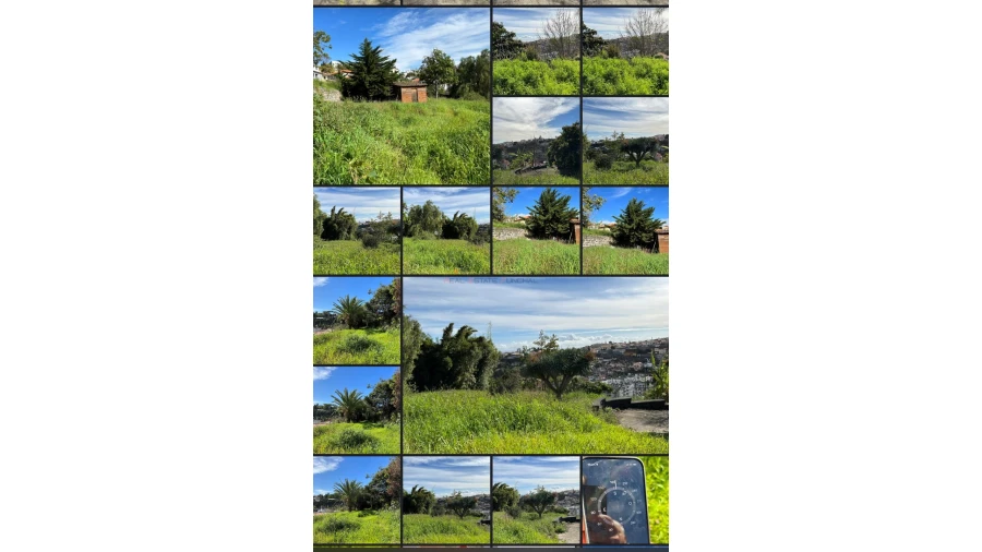 Terreno para Venda em Funchal (Santa Luzia) Foto 5