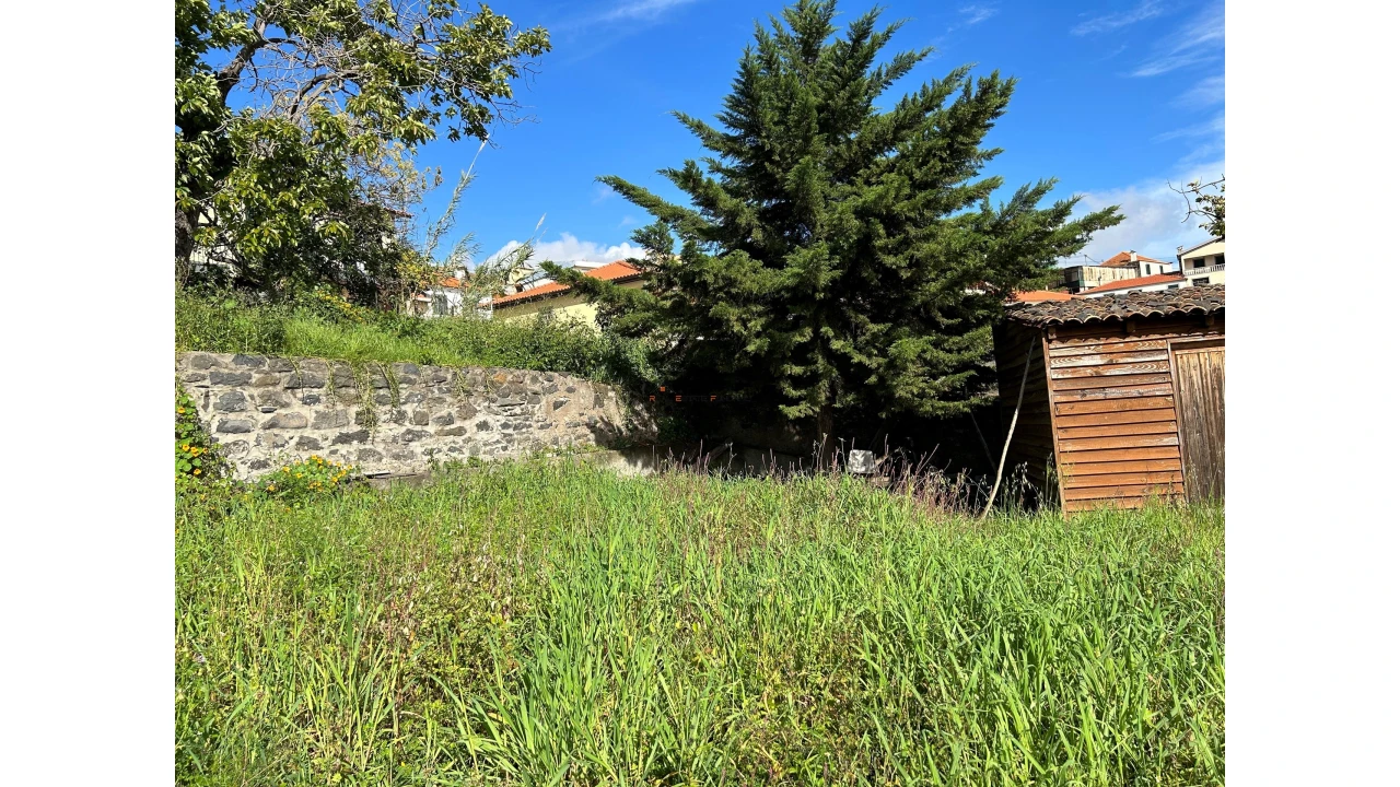Terreno para Venda em Funchal (Santa Luzia) Foto 11