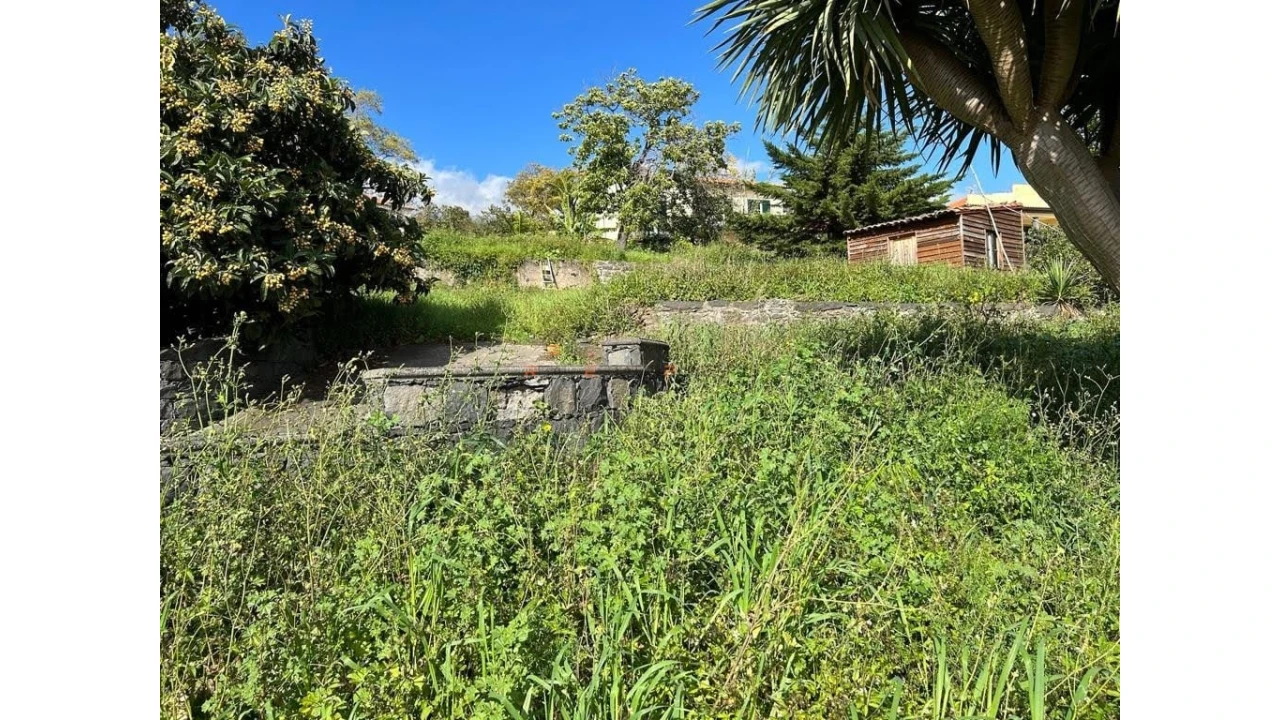 Terreno para Venda em Funchal (Santa Luzia) Foto 12
