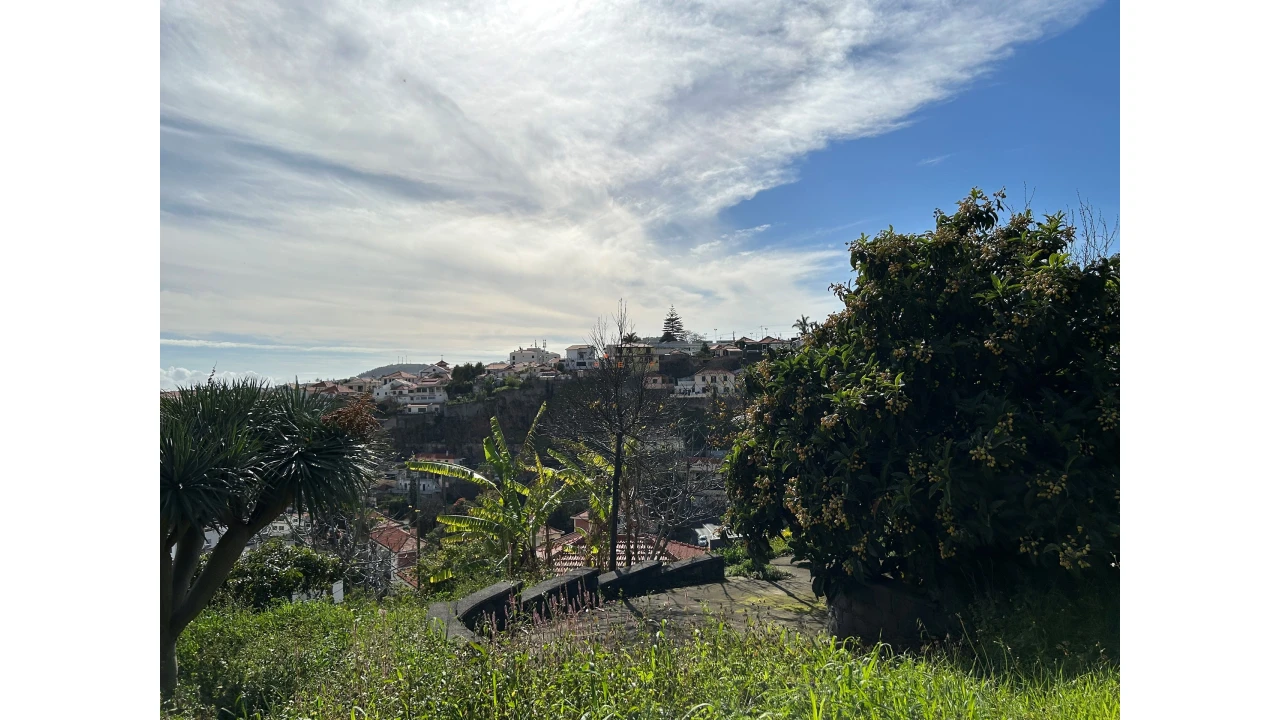Terreno para Venda em Funchal (Santa Luzia) Foto 6
