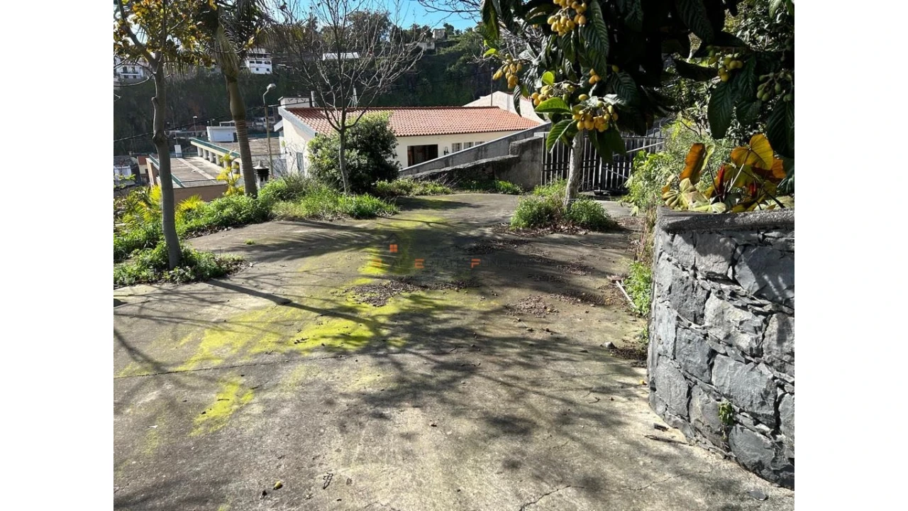 Terreno para Venda em Funchal (Santa Luzia) Foto 13