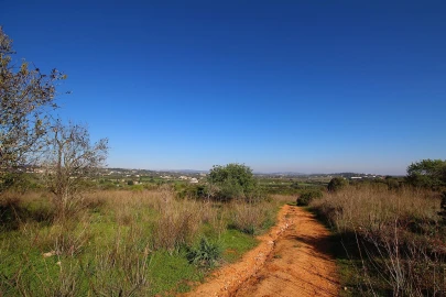 Terreno para Venda em São Silvestre
