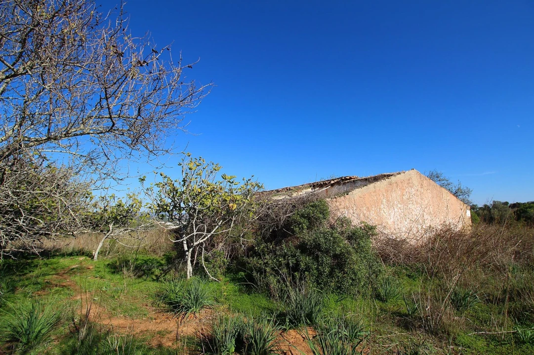 Terreno para Venda em São Silvestre Foto 2