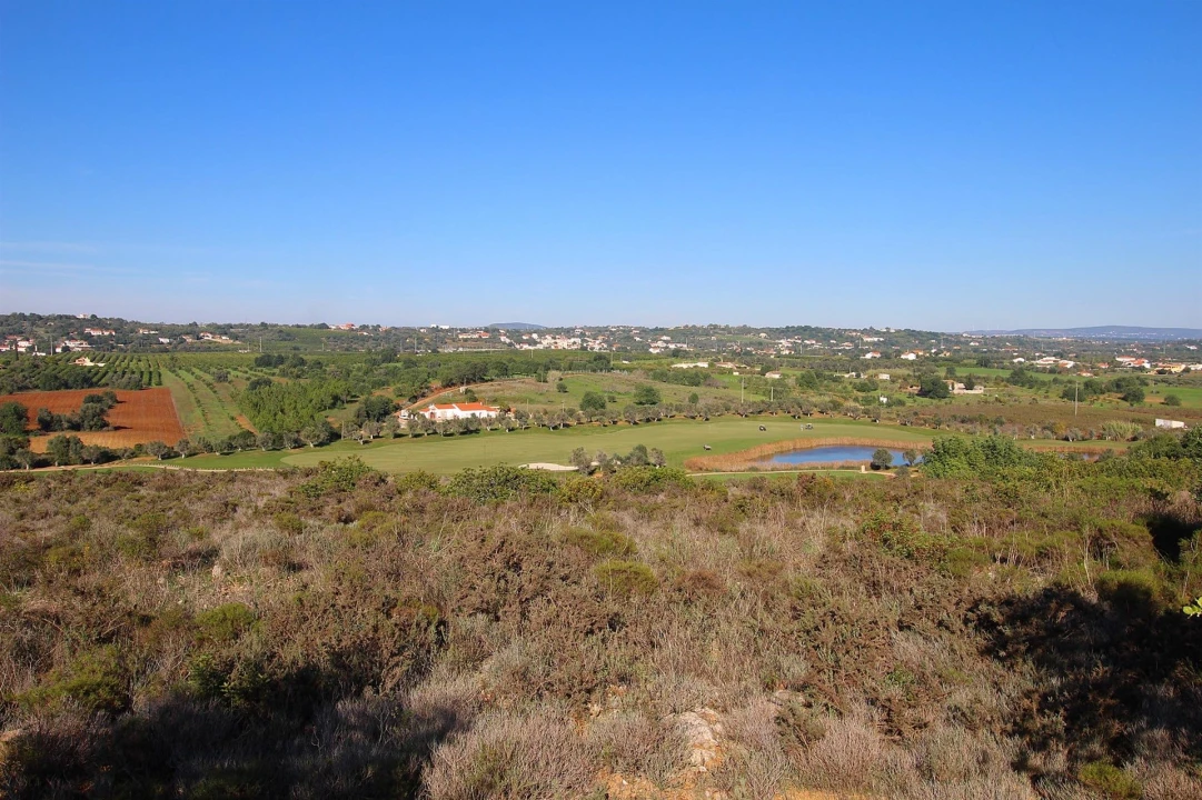 Terreno para Venda em São Silvestre Foto 6