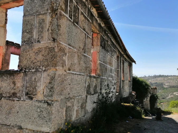 Terreno para Venda em Lajeosa do Dão Foto 7