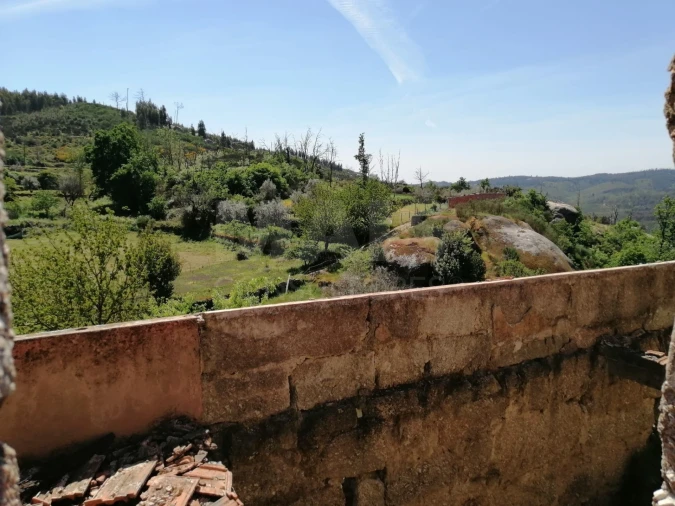 Terreno para Venda em Lajeosa do Dão Foto 9