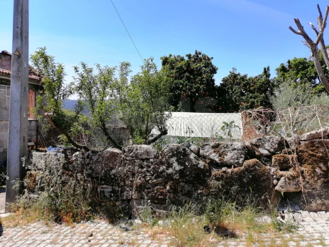 Terreno para Venda em Lajeosa do Dão Foto 12