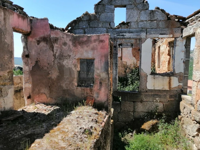 Terreno para Venda em Lajeosa do Dão Foto 4