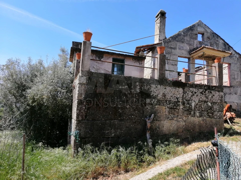 Terreno para Venda em Lajeosa do Dão Foto 1