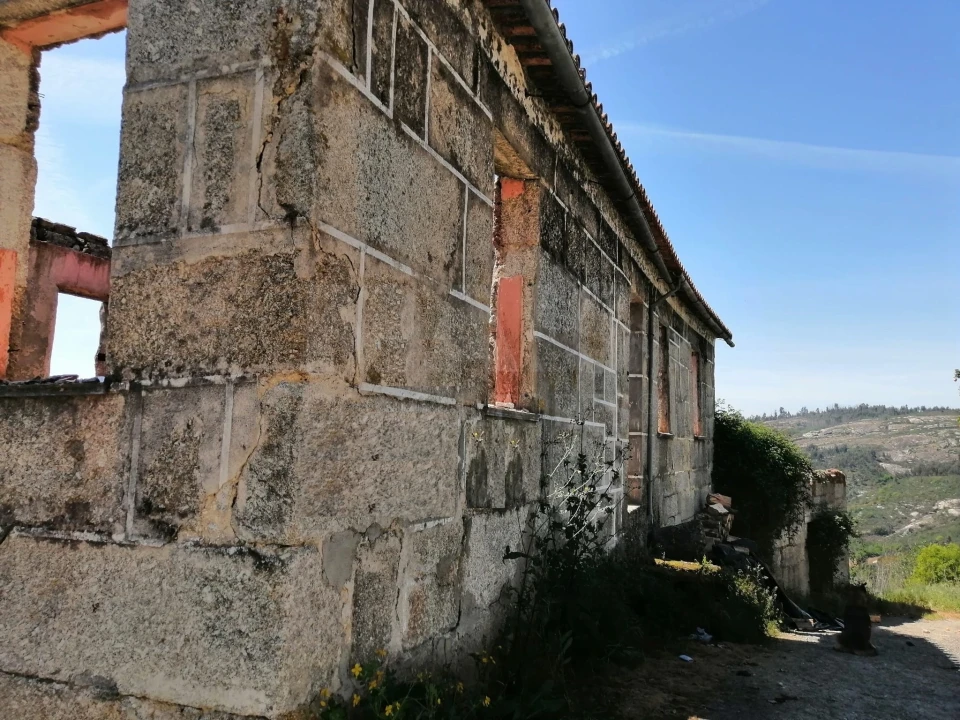 Terreno para Venda em Lajeosa do Dão Foto 7