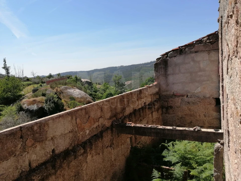 Terreno para Venda em Lajeosa do Dão Foto 10