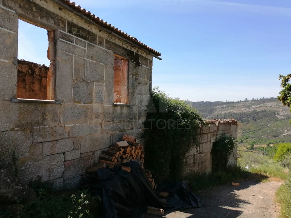 Terreno para Venda em Lajeosa do Dão Foto 11