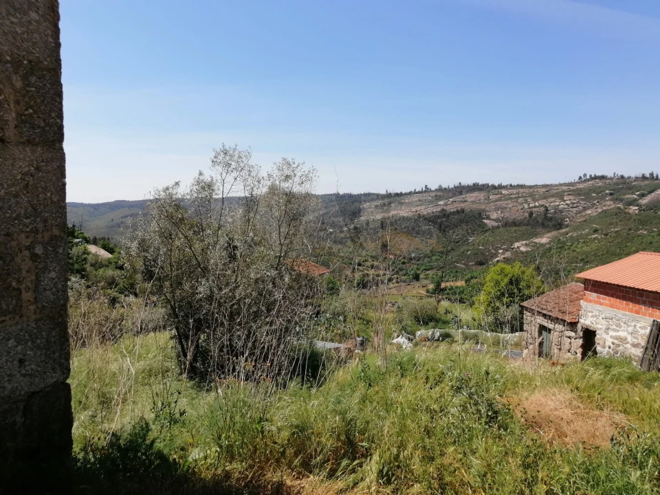 Terreno para Venda em Lajeosa do Dão Foto 8