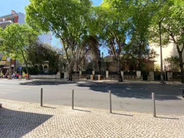 Terreno para Venda em Benfica