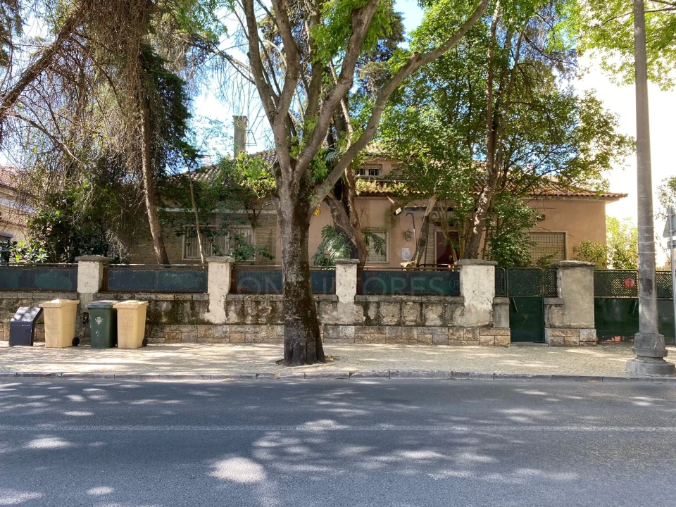 Terreno para Venda em Benfica Foto 3