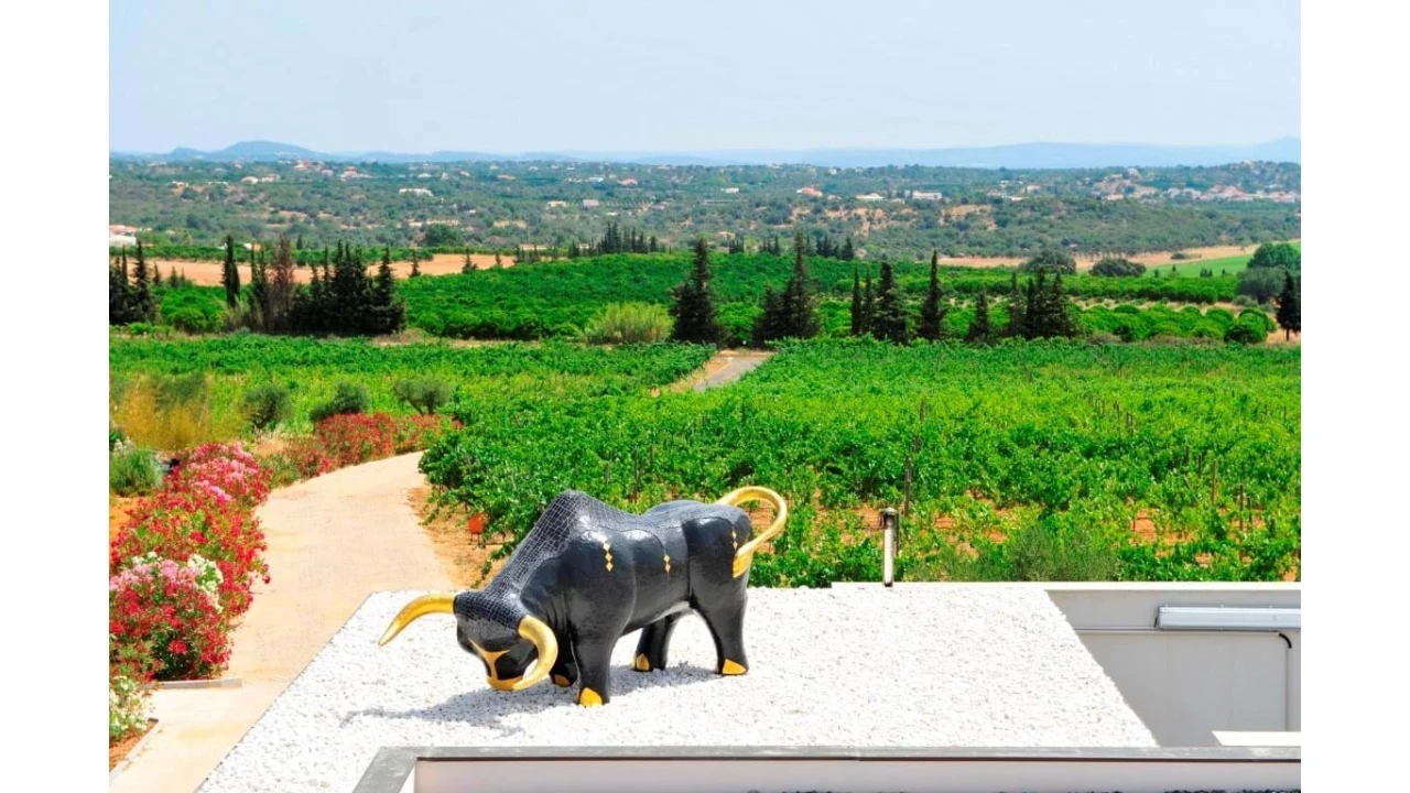 Moradia T10 para Venda em São Silvestre Foto 26