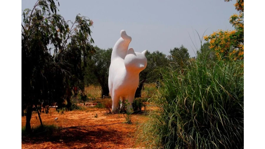 Moradia T10 para Venda em São Silvestre Foto 12