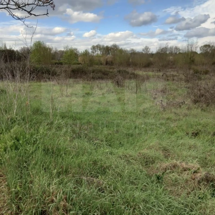 Terreno para Venda em Paialvo Foto 1