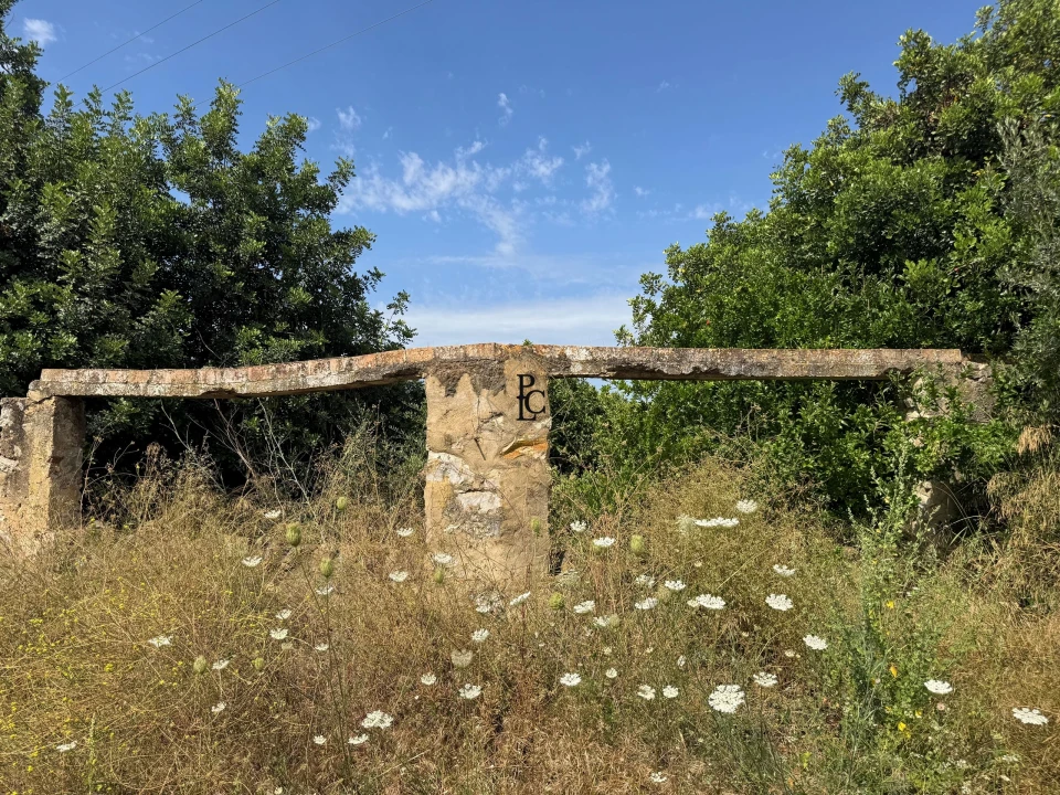Terreno para Venda em Faro (Sé e São Pedro) Foto 7