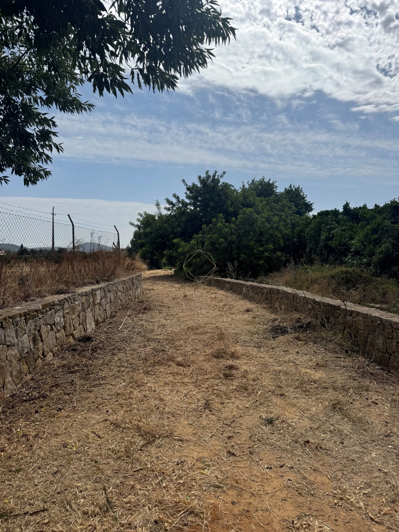 Terreno para Venda em Faro (Sé e São Pedro) Foto 16