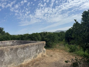 Terreno para Venda em Faro (Sé e São Pedro)