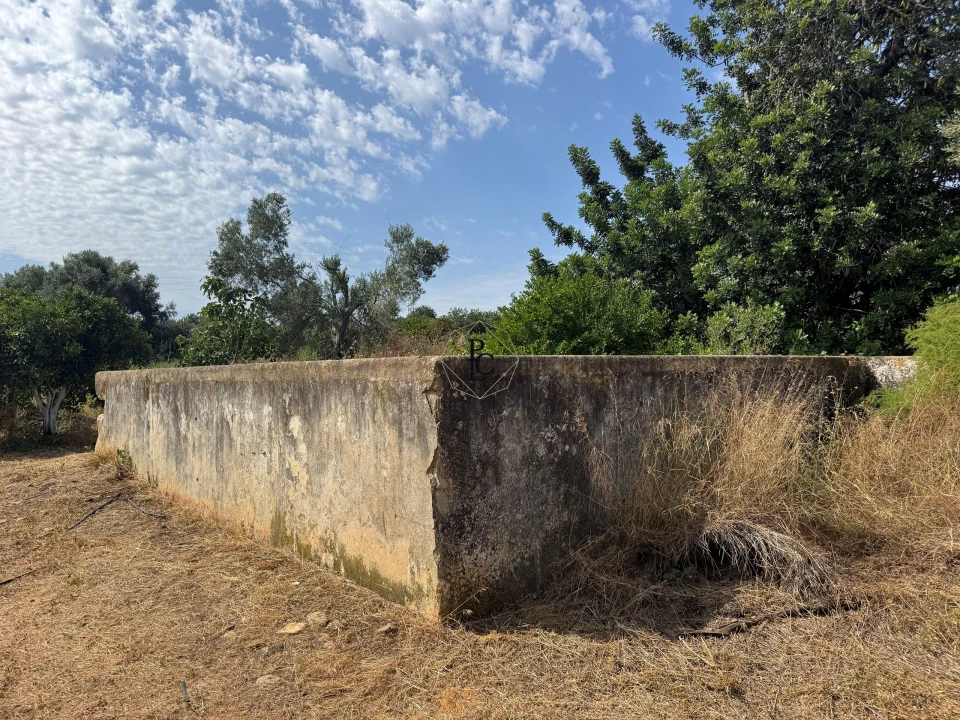 Terreno para Venda em Faro (Sé e São Pedro) Foto 9