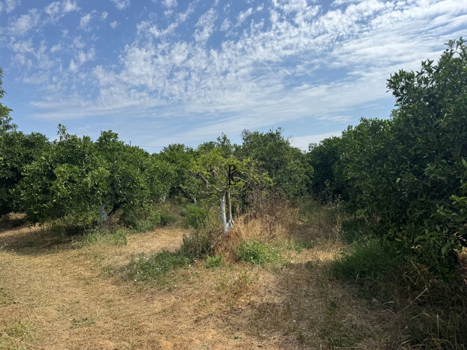Terreno para Venda em Faro (Sé e São Pedro) Foto 15