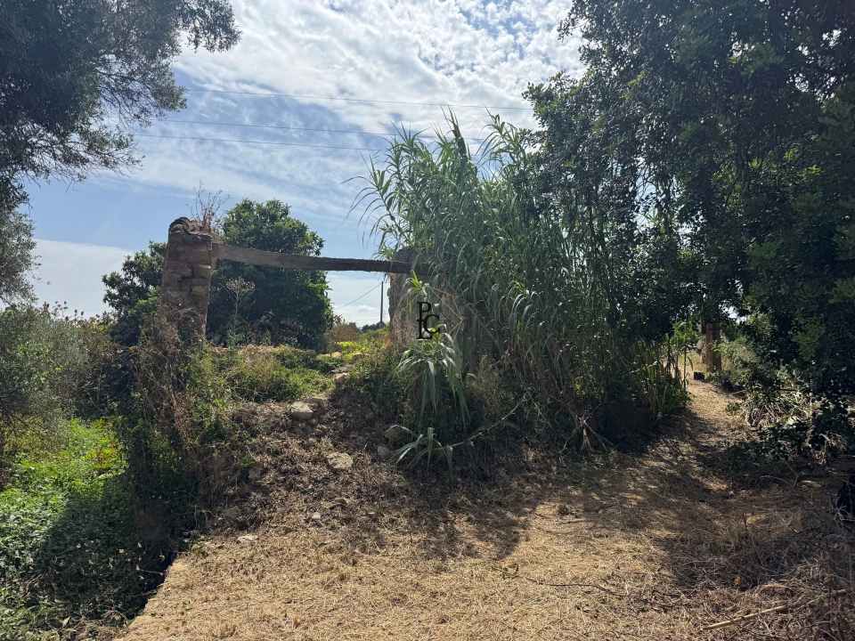 Terreno para Venda em Faro (Sé e São Pedro) Foto 4