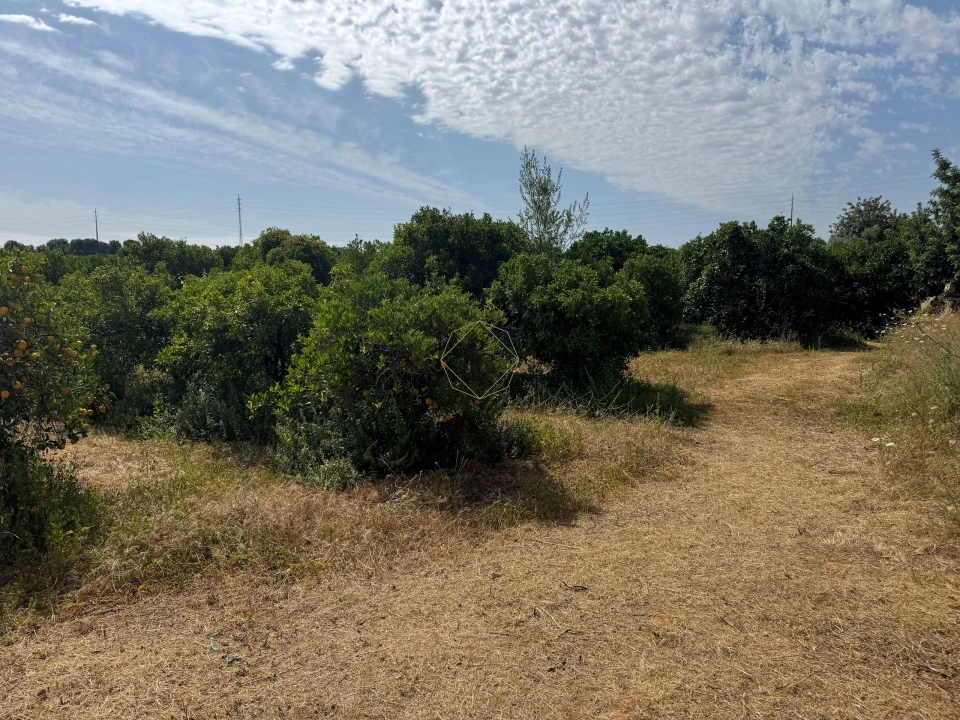 Terreno para Venda em Faro (Sé e São Pedro) Foto 5