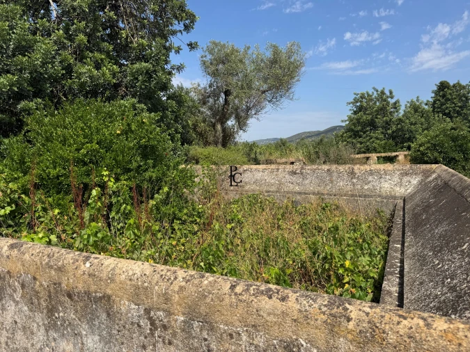 Terreno para Venda em Faro (Sé e São Pedro) Foto 10