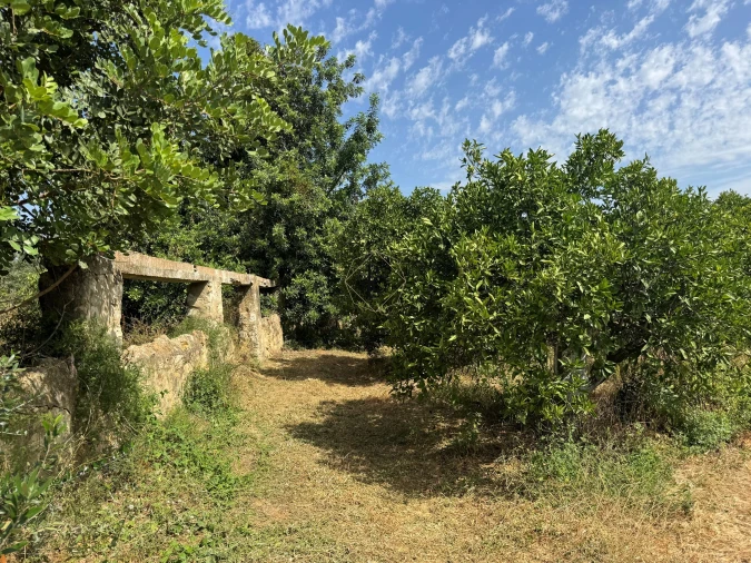 Terreno para Venda em Faro (Sé e São Pedro) Foto 12