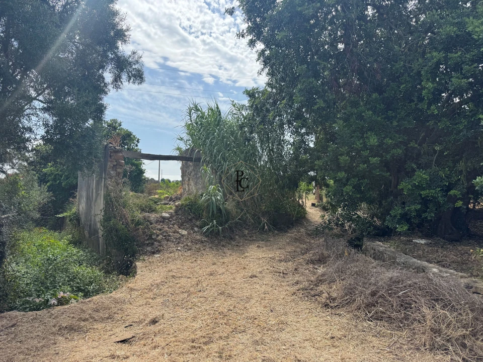Terreno para Venda em Faro (Sé e São Pedro) Foto 3