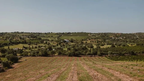 Moradia T4 para Venda em Tavira (Santa Maria e Santiago)