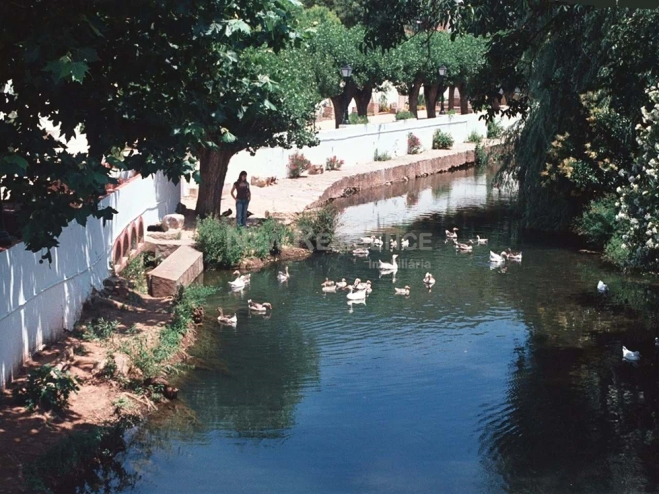 Terreno para Venda em Alte Foto 16