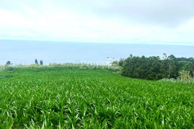 Terreno para Venda em Mosteiros Foto 13