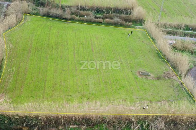 Terreno para Venda em Mosteiros Foto 6