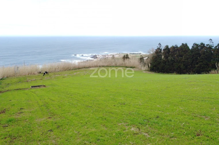 Terreno para Venda em Mosteiros Foto 12