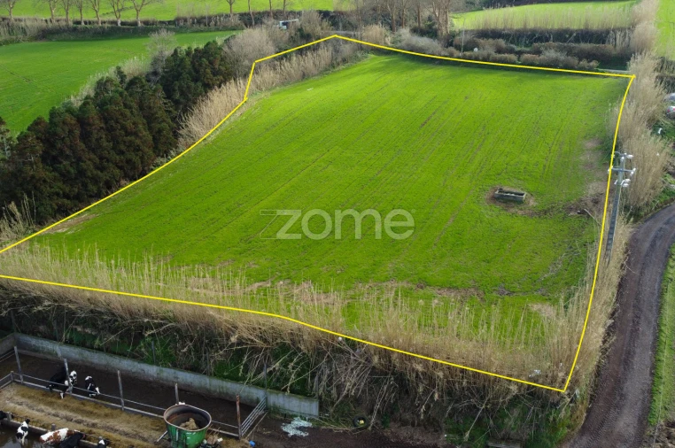 Terreno para Venda em Mosteiros Foto 5