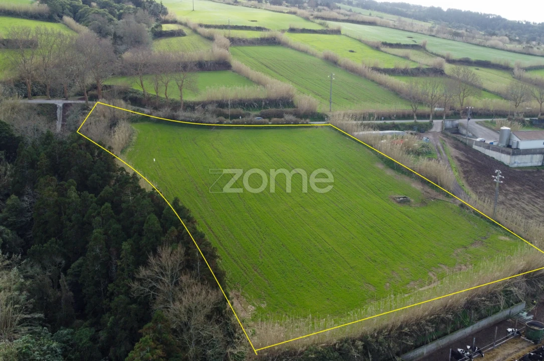 Terreno para Venda em Mosteiros Foto 9