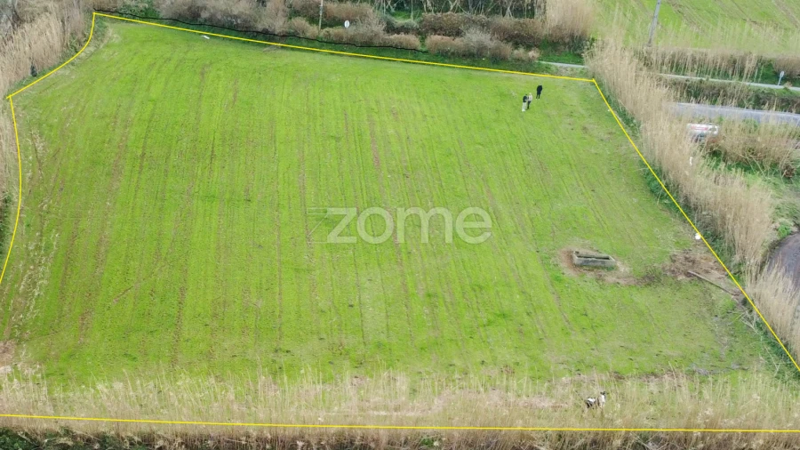 Terreno para Venda em Mosteiros