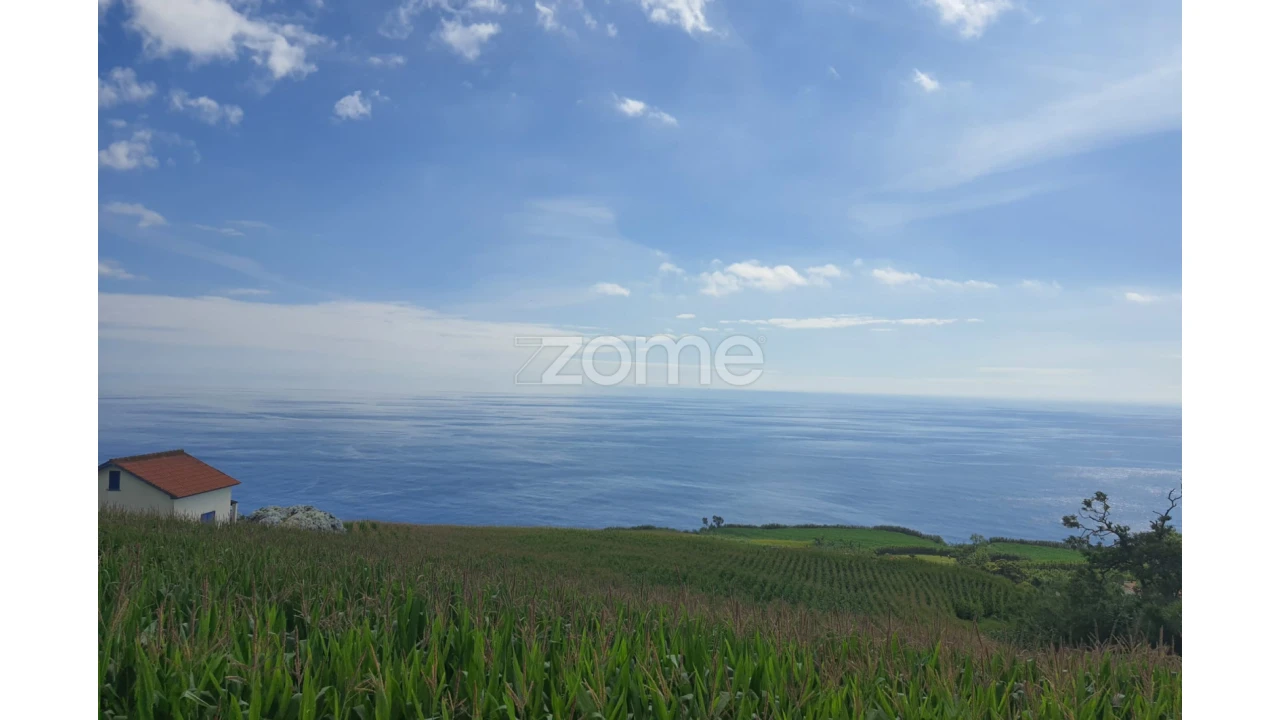 Terreno para Venda em Feteiras Foto 18