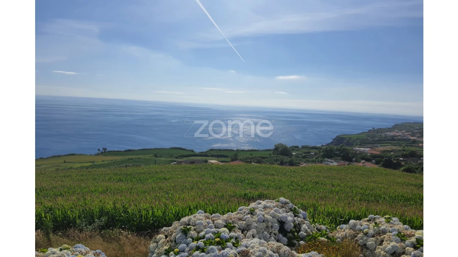 Terreno para Venda em Feteiras Foto 14