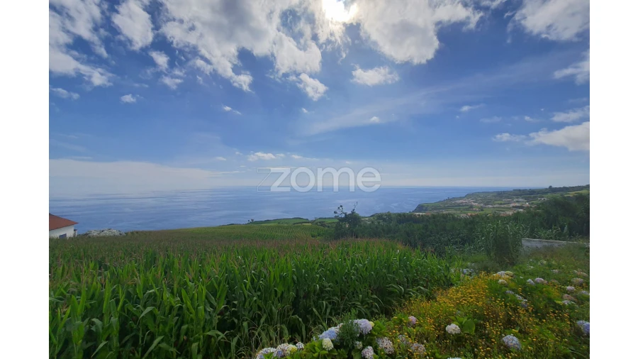 Terreno para Venda em Feteiras Foto 16